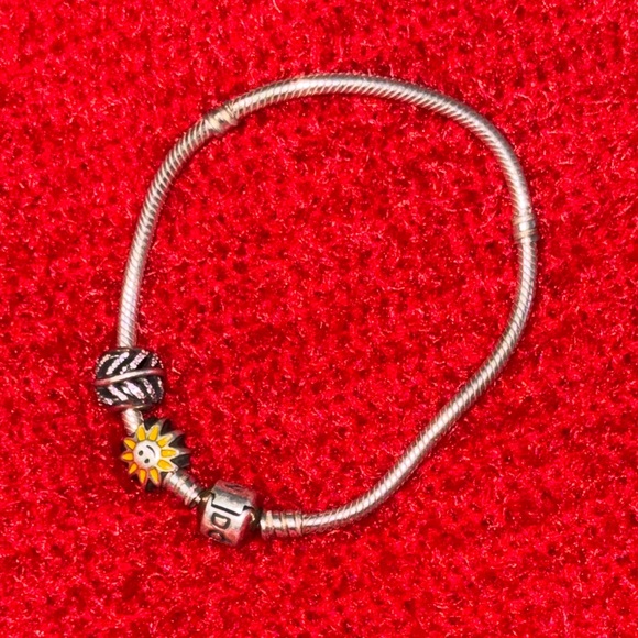 Pandora - Picture 2 of 5